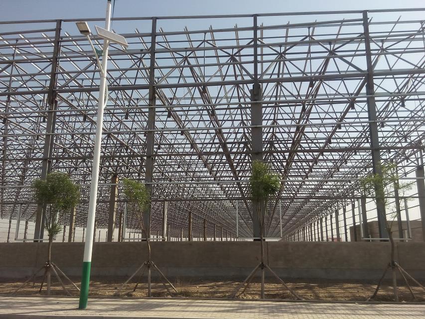 安国汽车工业厂房网架